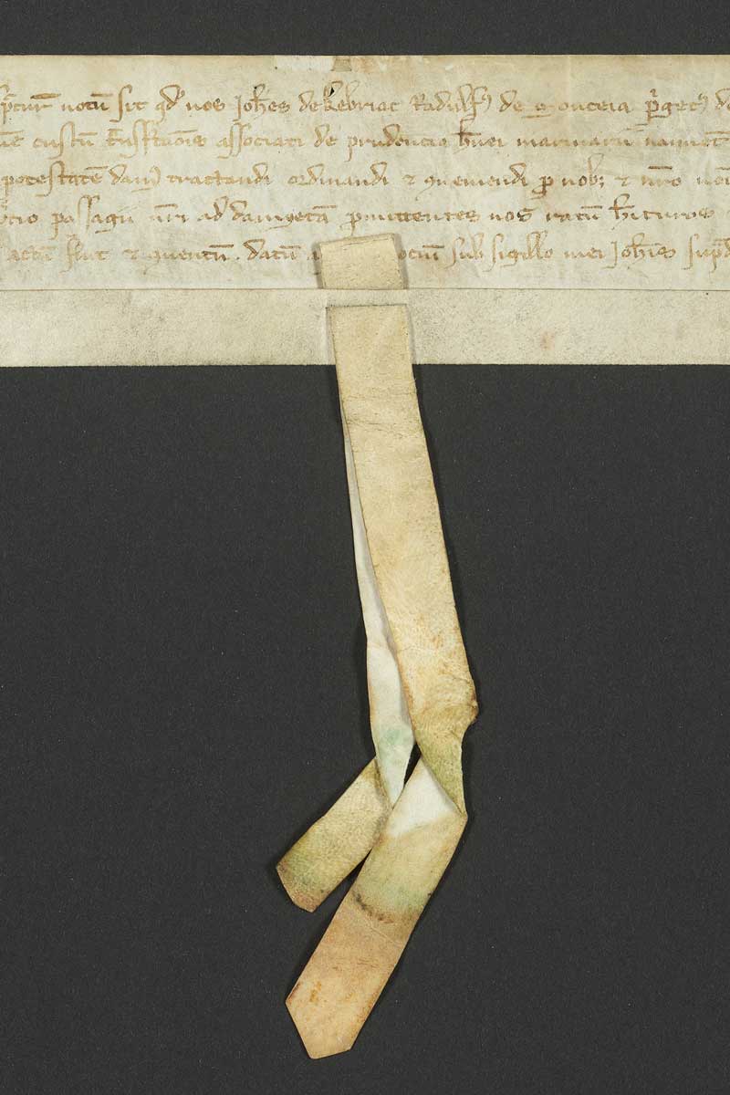 Fake Medieval Charter