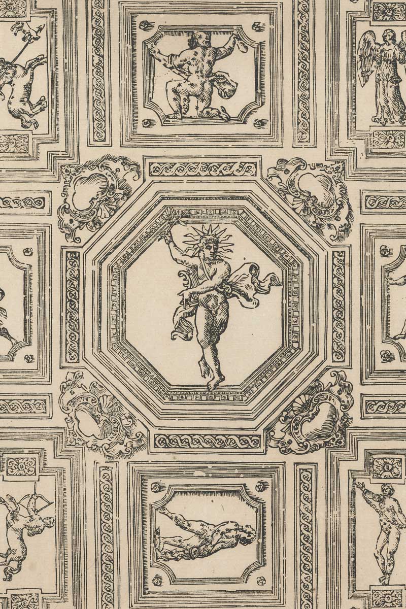 Bologna Anatomy Theater Ceiling, ca. 1668